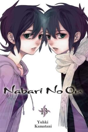 NABARI NO OU V13