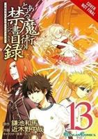 Kamachi, K: A Certain Magical Index, Vol. 13 (Manga)
