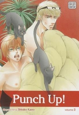 PUNCH UP VOL 3 3