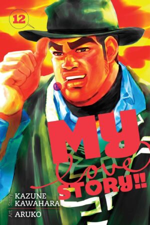 MY LOVE STORY VOL 12